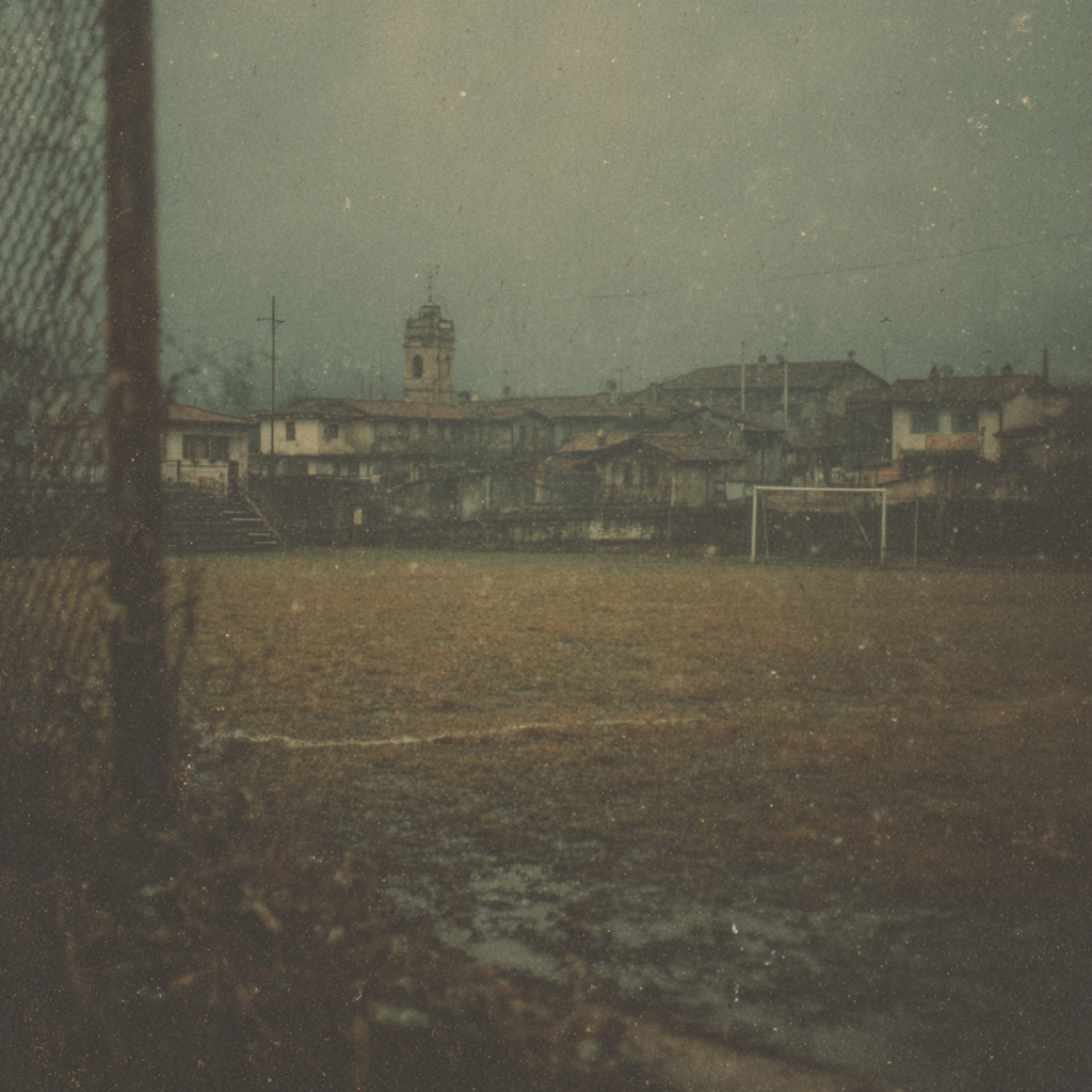 The Field They Played in