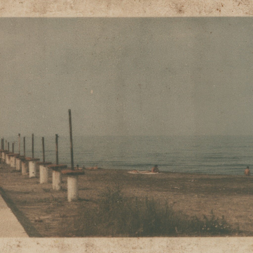 Vision for “The Winter Wave”